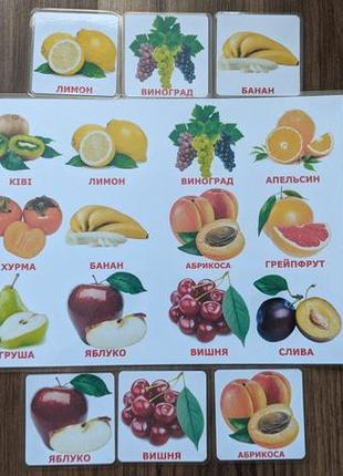 Лото з картками домана фрукти