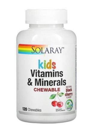 Solarary витамины и минералы для детей, в форме жевательных таблеток, с натуральным вкусом ягод черемхи, 120 жевательных таблеток