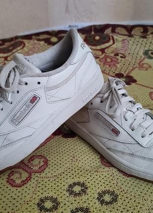 Кросівки reebok club c 85