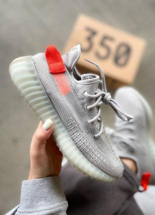 Adidas yeezy boost 350 v2 tail light жіночі кросівки адідас ези