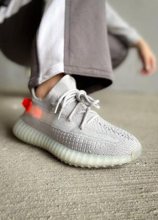 Adidas yeezy boost 350 v2 tail light жіночі кросівки адідас ези5 фото