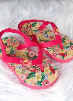 Шлепанцы вьетнамки босоножки попугай