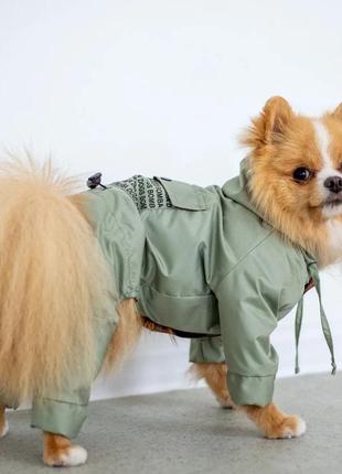 Дождевик-комбинезон для собаки "карман" оливковый m-681 фото
