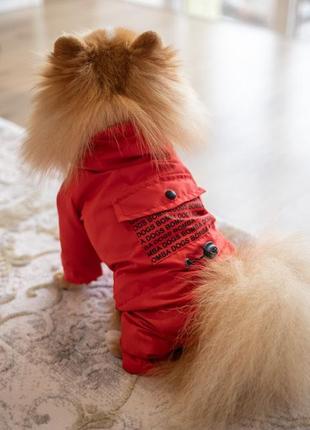 Дождевик-комбинезон для собак "карман" красный m-672 фото