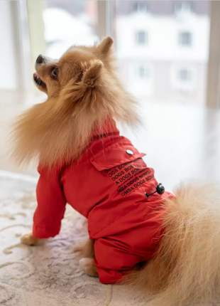 Дождевик-комбинезон для собак "карман" красный m-671 фото
