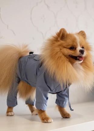 Дождевик-комбинезон для собак "карман" голубой m-661 фото