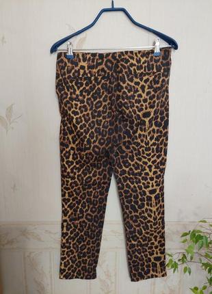 Леопардовые штанишки стрейч2 фото