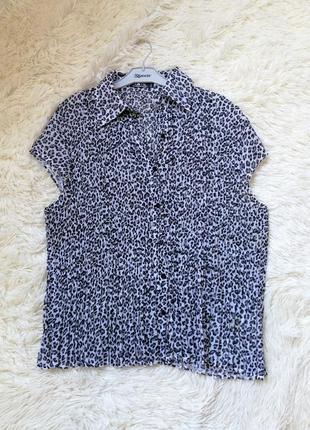 Розпродаж шифонова блуза plissee пліссе хижий принт леопард розпродаж шифонова блуза plissee плисс