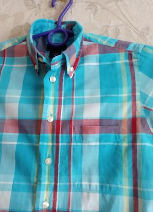 Красива теніска gant 3