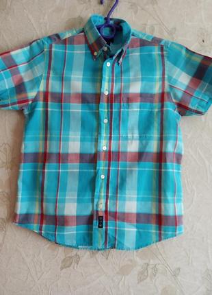 Красива теніска gant 2