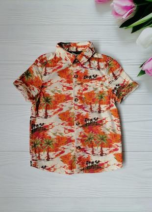 Яскрава сорочка tu 3 роки