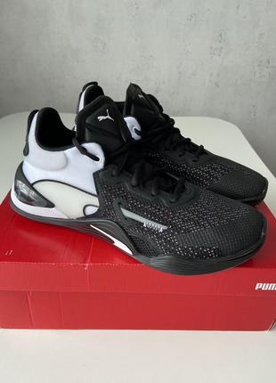 Puma fuse