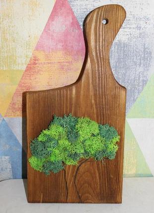 Картина з мохом декор кухні3 фото