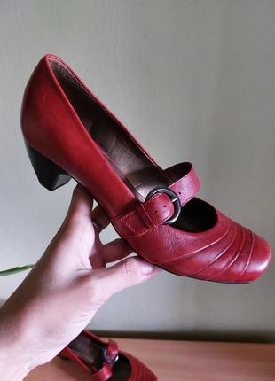 Туфлі clarks
