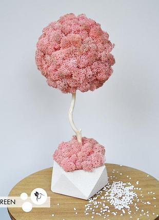 Декоративне дерево зі справжнім мохом fresh coral, топіарій 30 cm, t26