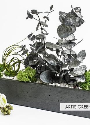 Эвкалипт в бетоне, s78