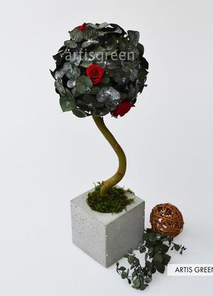 Дерево з стабілізованих троянд і евкаліпта від artis green, топіари t303 фото