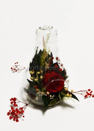 Стеклянная колба с долговечными растениями и розой, красная3 фото