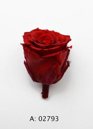 Роза красная большая ø5-6 см verona red, 4 шт/упаковка3 фото