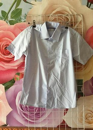 Тениска для мальчика.