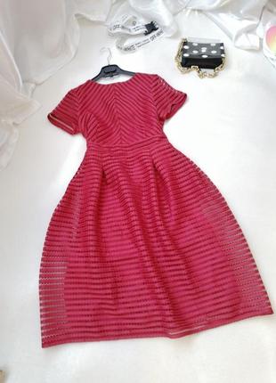 ✅ красива ошатна сукня бордо з пишною відрізною спідницею застібається на блискавку ззаду яка зламан2 фото