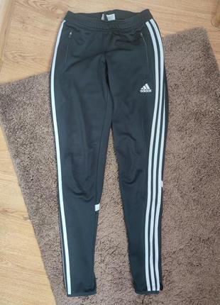 Спортивні штани adidas xs1 фото