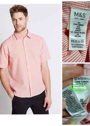 100% котон большой размер фирменная натуральная котоновая рубашка в полоску грудь 144 см