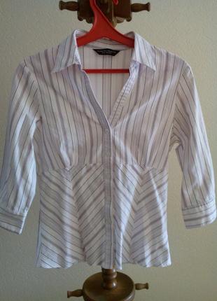Блузка в смужку dorothy perkins1 фото