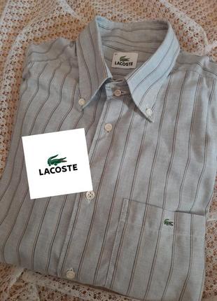 Стильна сорочка в полоску lacoste