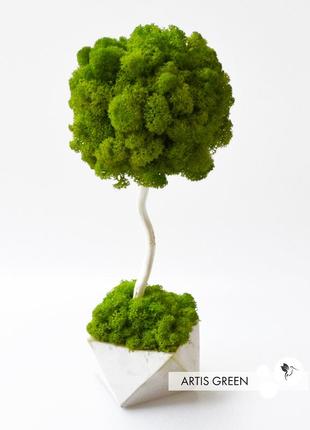 Декоративное дерево, топиарий с настоящим мхом fresh tree, 30 cm, t111 фото