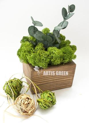 Сувенір з стабілізованого моху, гілочок евкаліпта і дерев'яної основи від "artis green", квадрат1 фото