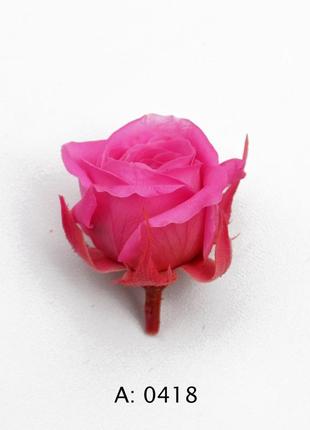 Роза розовая мини ø2-3 см pink, 12 шт/упаковка3 фото