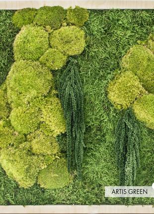 Картина "частинка лісу" з стабілізованого моху і рослин від artis green, p16