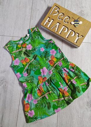 Літнє плаття, сукня, платтячко.