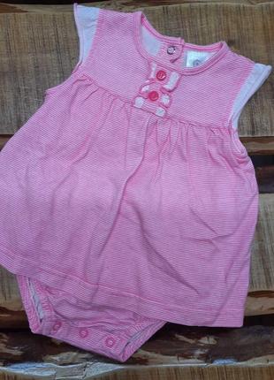 Рожева боді-сукня , бодік, плаття, сукня