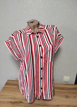 Нова блуза в смужку блузка сорочка в смужку1 фото