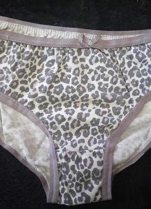 🎀детские красивые хлопковые  трусики 6/7