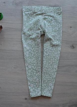 Лосини на 4-5 років.