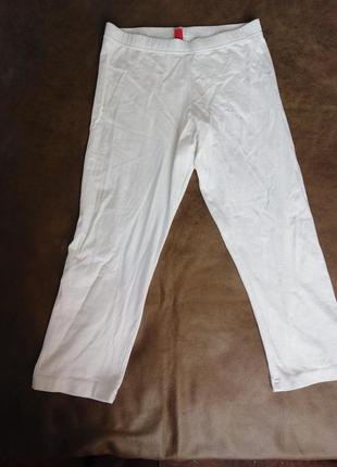 Лосини бавовна