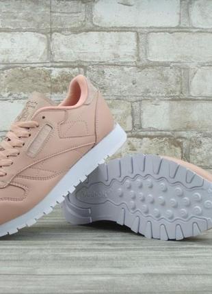 Кросівки жіночі reebok classic pink white 2

/ женские кроссовки рибок2 фото