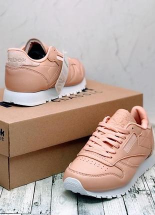 Кросівки жіночі reebok classic pink white 2

/ женские кроссовки рибок4 фото