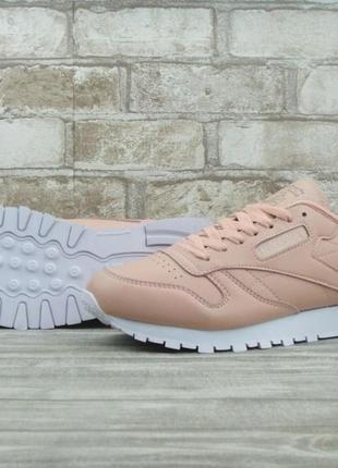 Кросівки жіночі reebok classic pink white 2

/ женские кроссовки рибок7 фото