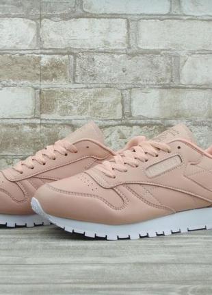 Кросівки жіночі reebok classic pink white 2

/ женские кроссовки рибок3 фото