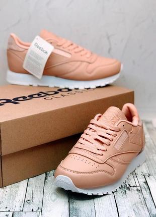 Кросівки жіночі reebok classic pink white 2

/ женские кроссовки рибок5 фото