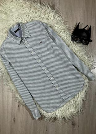 Рубашка в полоску napapijri stripe shirt original высокое качество из свежих моделей