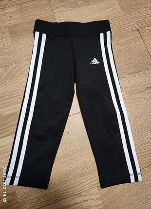 Дишашие лосини для занять оригінал адідас