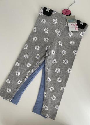 Лосіни, лосины, легінси