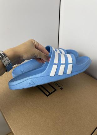 Тапки adidas голубые тапочки с полосками адидас 37-387 фото