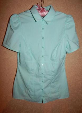 Рубашка блуза котоновая размер с1 фото