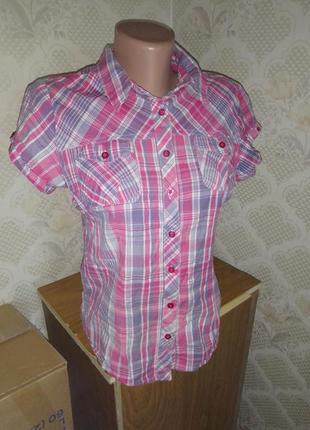 Літня сорочка з коротким рукавом клітка, смужка розпродаж